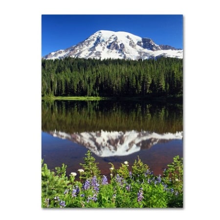 Pierre Leclerc 'Rainier Wildflowers' Canvas Art,16x24